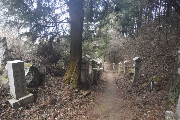 最初、400mなど大したことはないとタカをくくっていた。