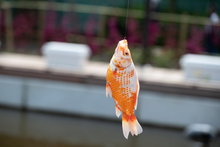 【荒川102】『あらかわ遊園』最速レポート