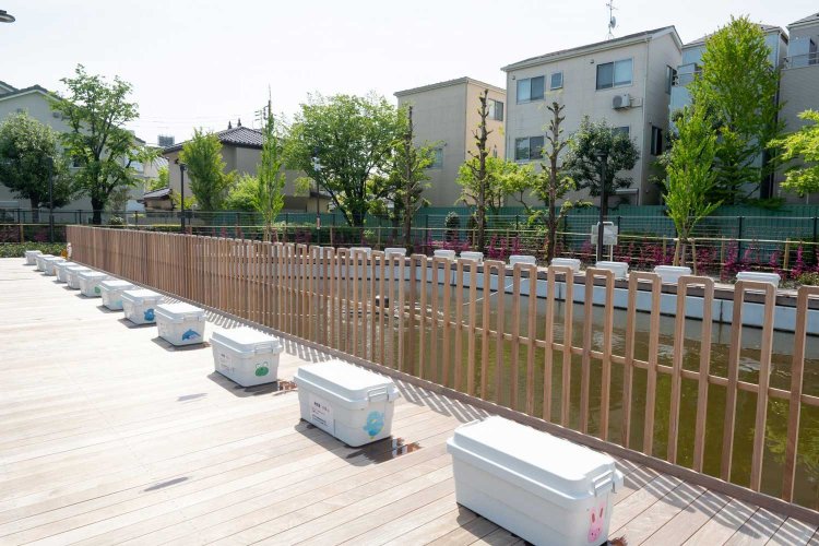 【荒川102】『あらかわ遊園』最速レポート