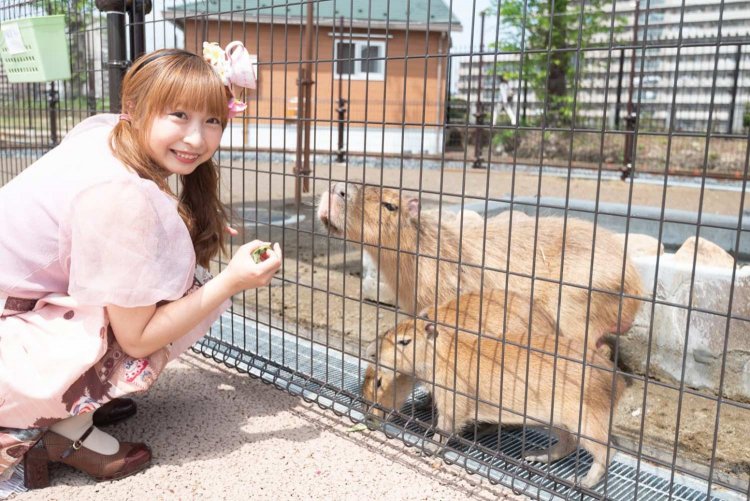 【荒川102】『あらかわ遊園』最速レポート