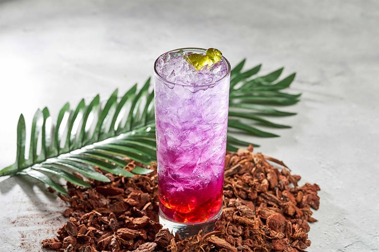 DINO_DRINK_そーだ