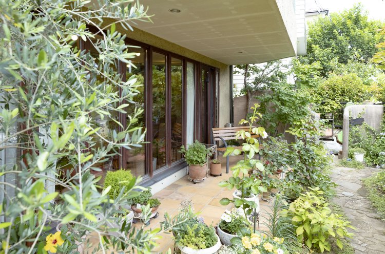 庭の手入れは家業が植木屋のシェフDATAが担当。奥様が手塩にかけた花も見事。