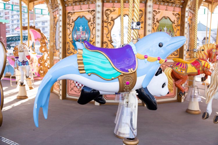 新しく仲間入りしたイルカ。「大人が乗っても大丈夫だよ！」。