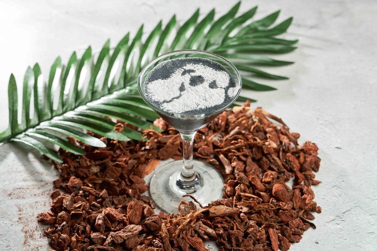 DINO_DRINK_モクテル