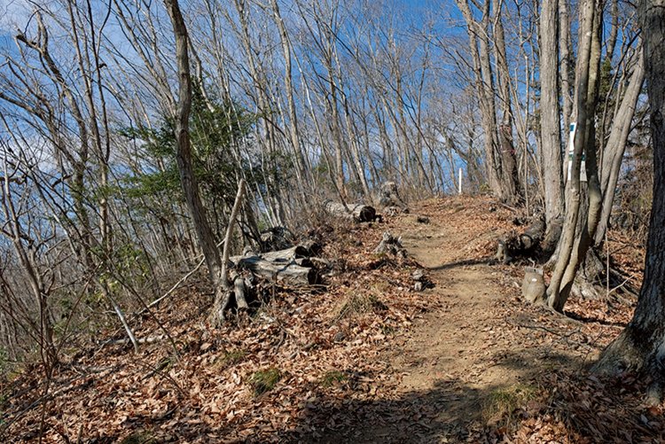 日連山山頂。宝山も日連山にもテーブルとベンチあり。