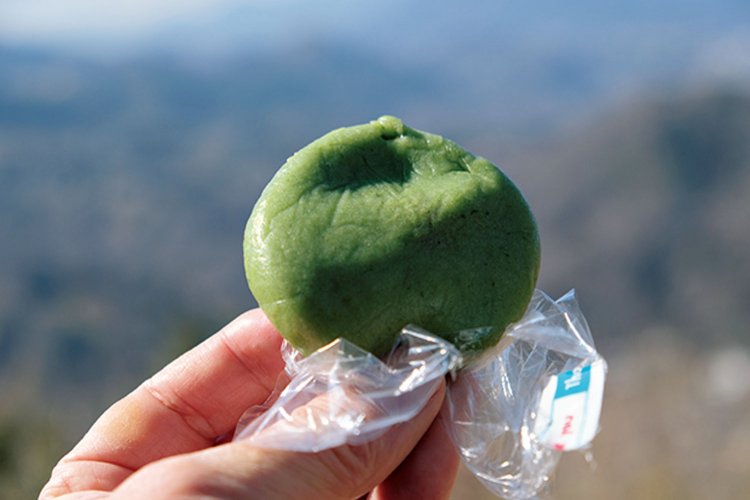 藤野駅に併設された観光案内所で販売していた手作りの草餅。山では最高のチカラ餅になる。