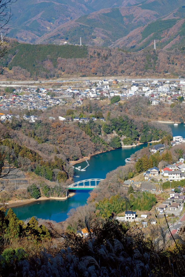 藤野の街と日連大橋の眺望。別ルートの金剛山へ行く途中の登山道から。