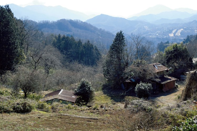 新和田峠付近からの眺望。のどかでいいところだ。ここを下って行くとゴールのバス停。