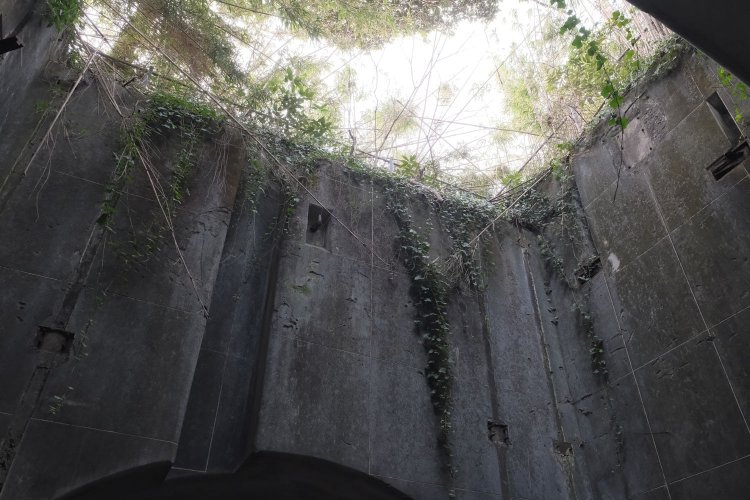 上を見上げると鬱蒼（うっそう）とした木が覆っていた。開口部がこんなにあるのでは雨が沢山降り注いでくることだろう。