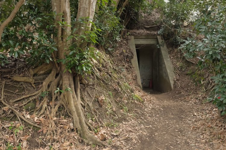 小道を進んでいくと現れる遺構。中に入れるので足元に気をつけよう。これからの季節は虫や蜂にも注意。