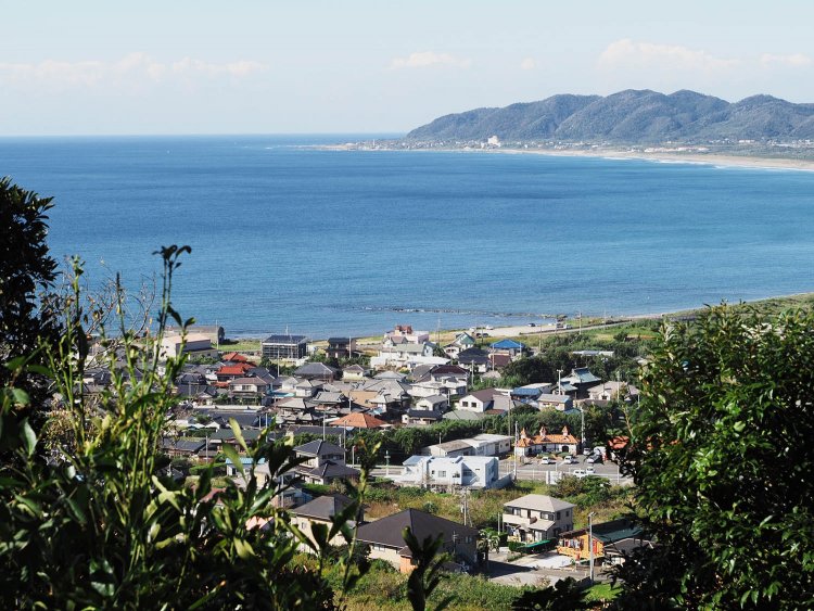 館山野鳥の森１