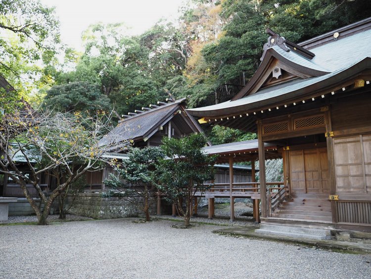 館山野鳥の森２