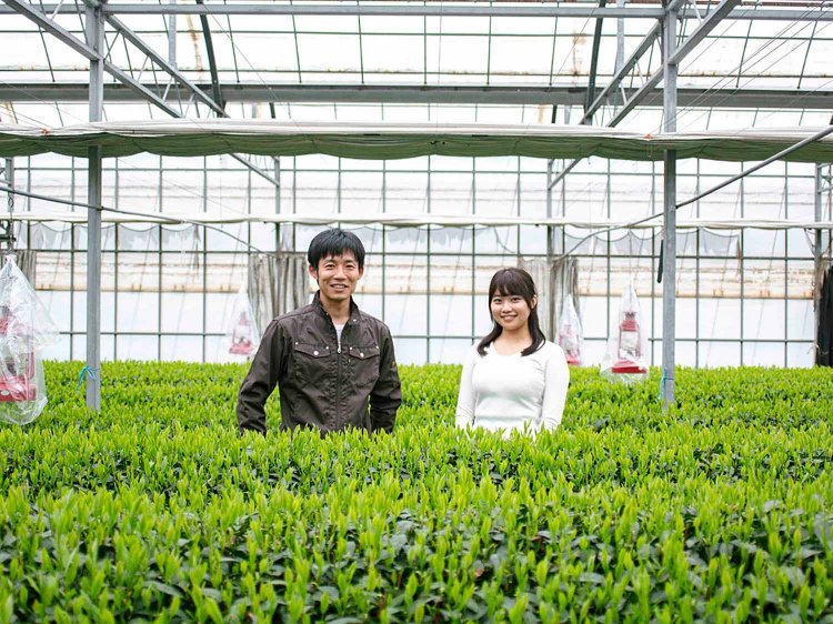 【Re:leaf Record】はじめてのお茶摘み体験！