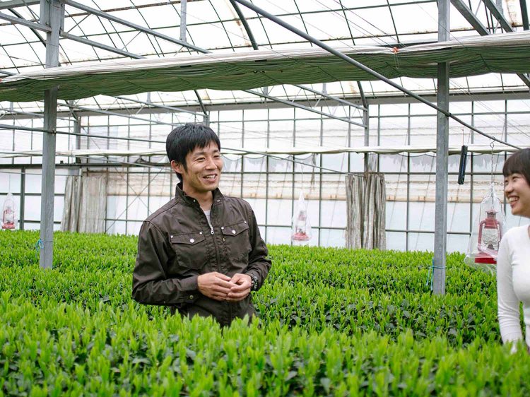 【Re:leaf Record】はじめてのお茶摘み体験！