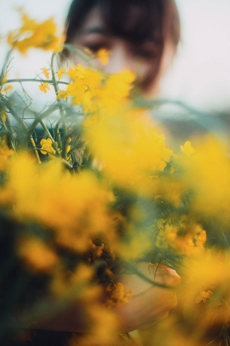 Sony α7RⅢ / CONTAX Planar T*50mm F1.4 MMJ