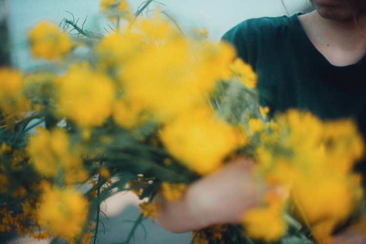 Sony α7RⅢ / CONTAX Planar T*50mm F1.4 MMJ