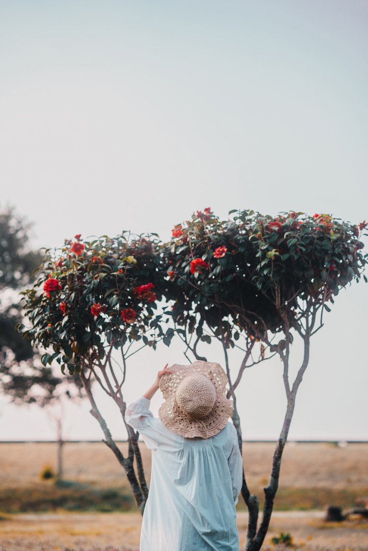 Sony α7RⅢ / Sony FE 85mm F1.4 GM