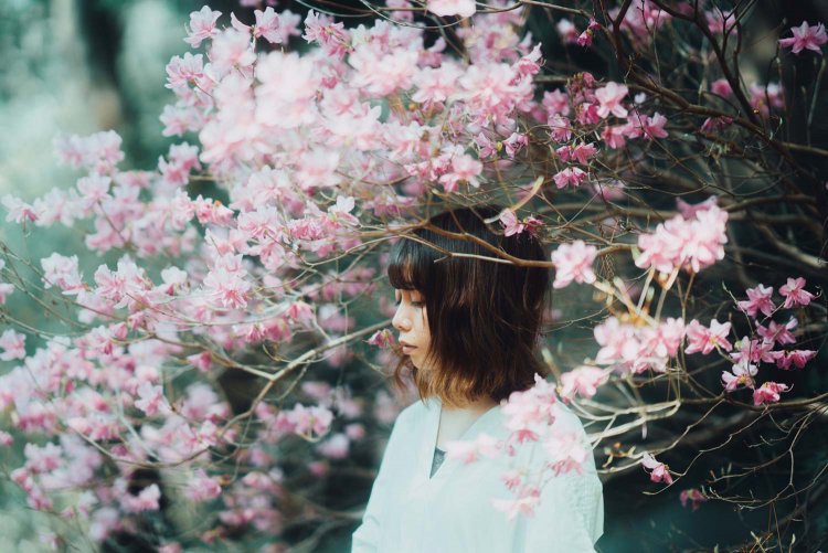 Sony α7RⅢ / Sony FE 85mm F1.4 GM