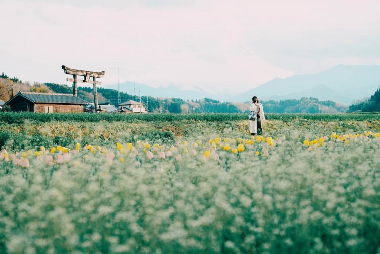 Sony α7RⅢ / Tamron 35-150mm F/2-2.8 Di III VXD