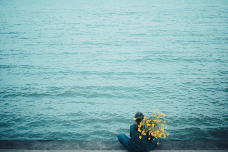 Sony α7RⅢ / CONTAX Planar T*50mm F1.4 MMJ