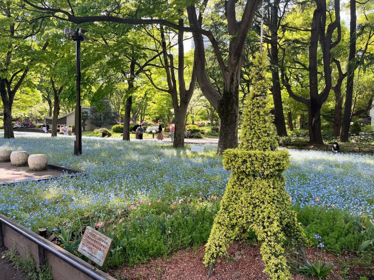 花々も綺麗だ。