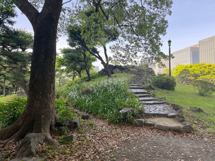 三笠山っていう山。ビルが右手に見えてる感じがいい。景色も意外と良好だ。