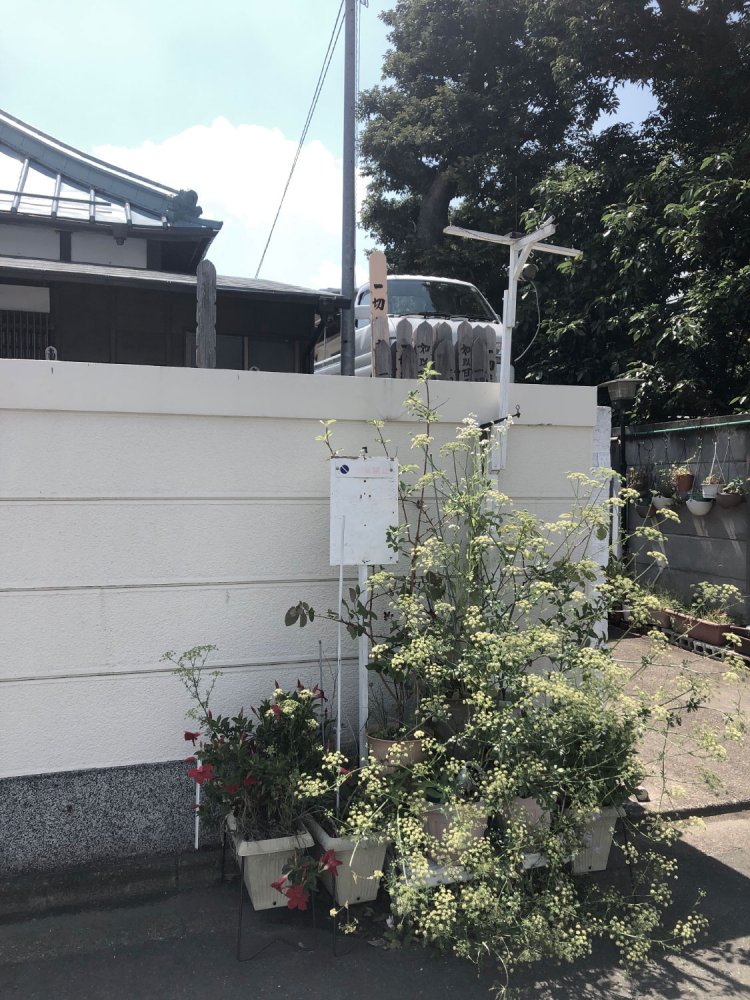 No parking flower《駐車禁止の花》