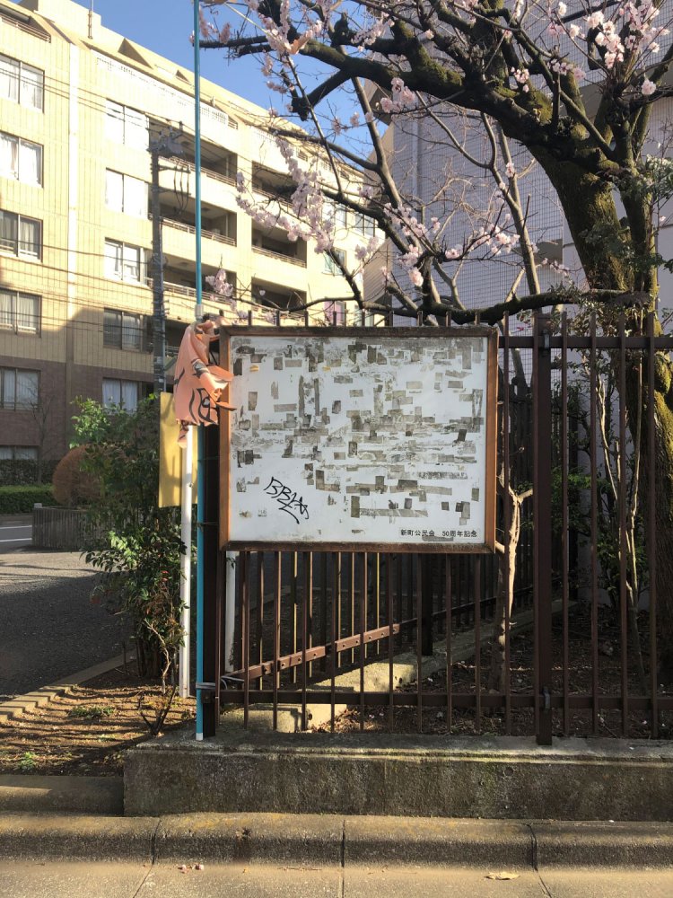 Cherry blossoms at the beginning 《弥生桜図》