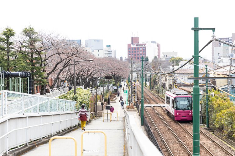 荒川自然公園と荒川二丁目停留場を結ぶスロープは都電のビューポイント。
