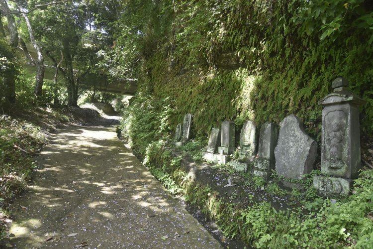 すぐに江戸期の庚申塚などが立ち並んでいた。