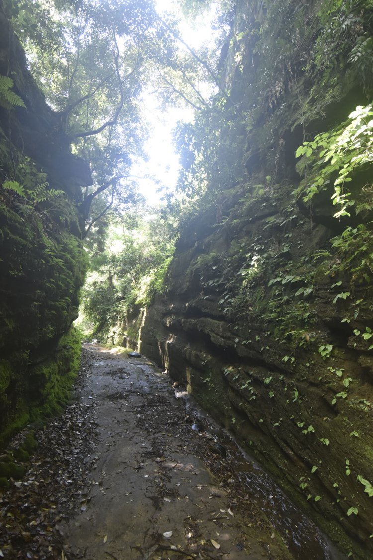 途中にあった見事な切通し。手掘りの跡がわかる。