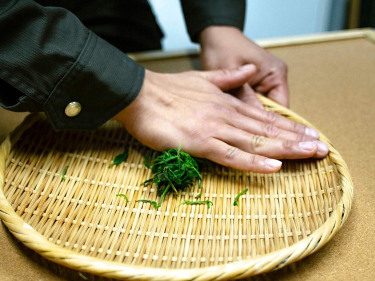 【Re:leaf Record】生葉から煎茶や紅茶を作ってみよう