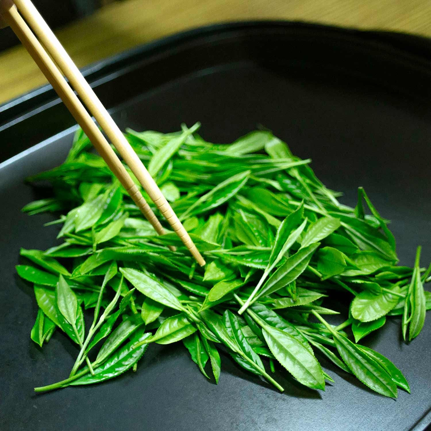【Re:leaf Record】生葉から煎茶や紅茶を作ってみよう