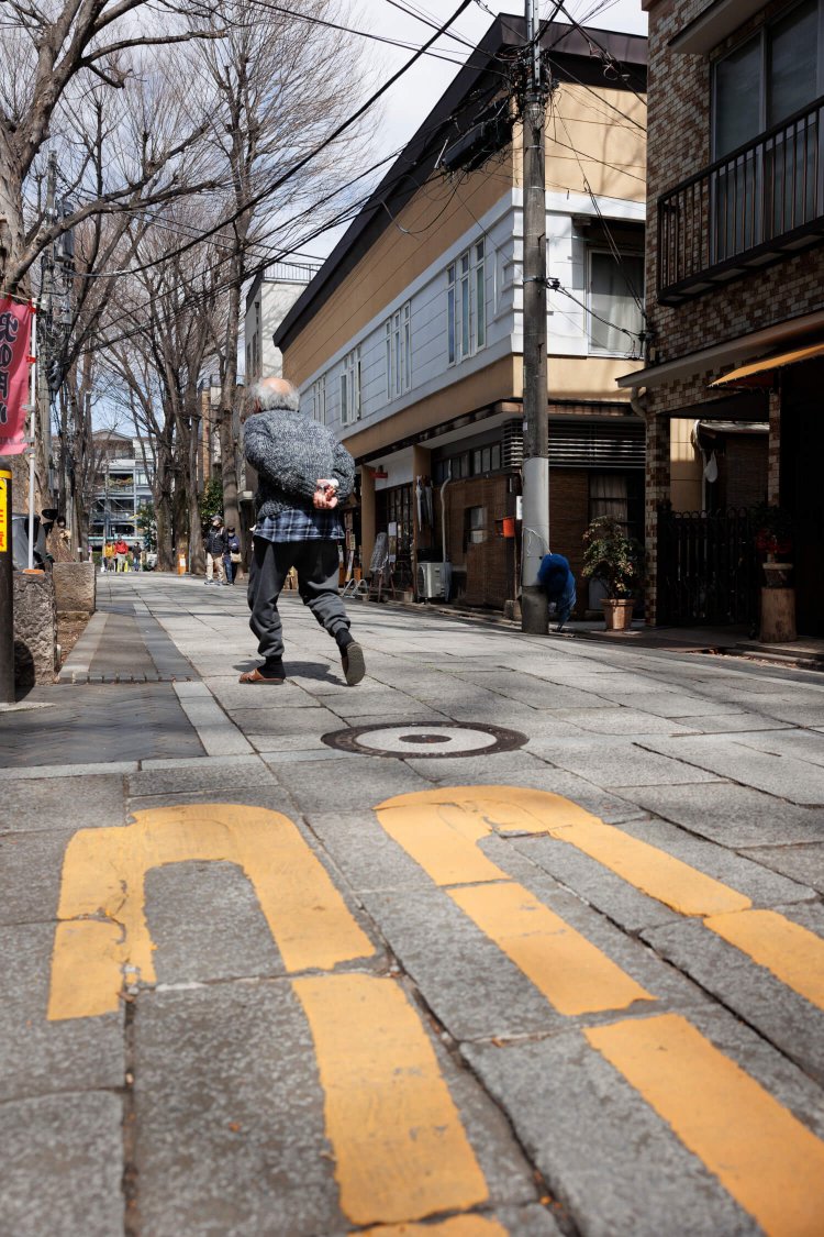 昔の面影を伝える『雑司ケ谷鬼子母神堂』の参道のケヤキ並木。