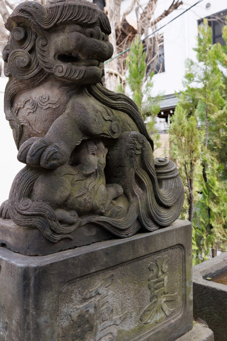 授乳中の珍しい狛犬にも注目！