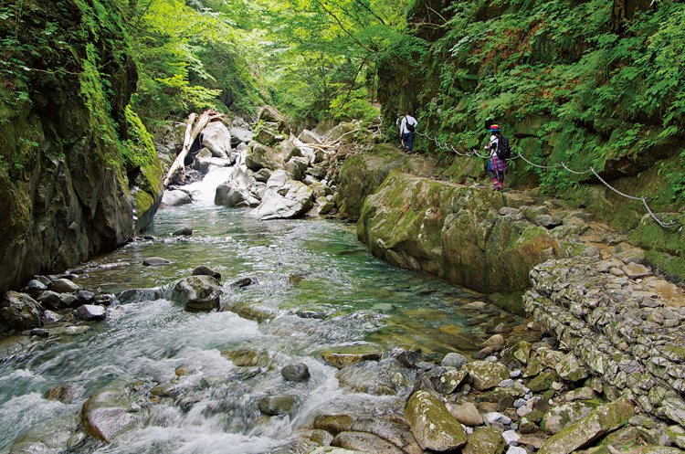 後半部にあるカエル岩を手前から。岩が3匹の親子ガエルに見えるというが、かなりの想像力が必要かもしれない。