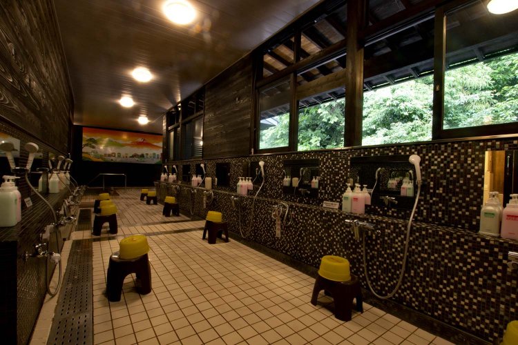 昔懐かしい下町の銭湯をイメージした「和の湯」の内湯。