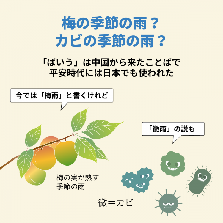 4コマことば図鑑　梅雨