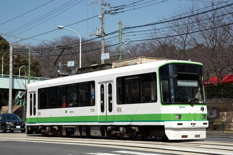 都電荒川線19_8500 白緑