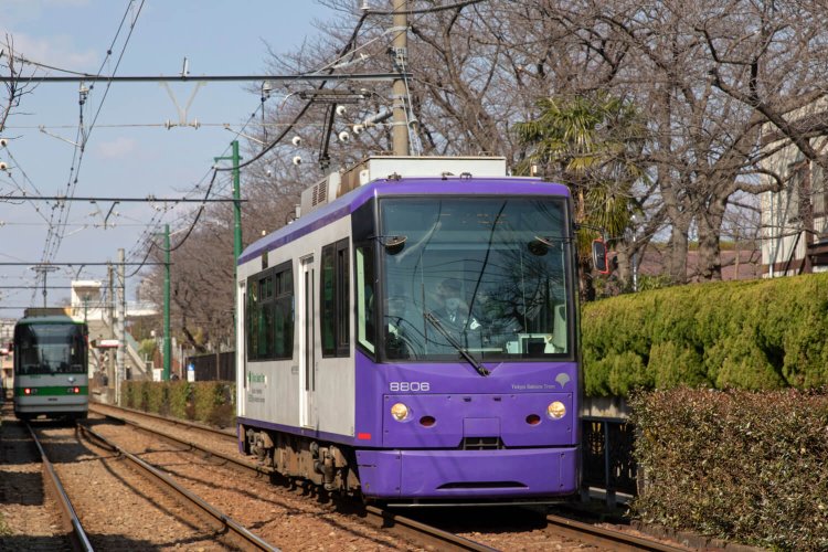 都電荒川線21_8800 バイオレット