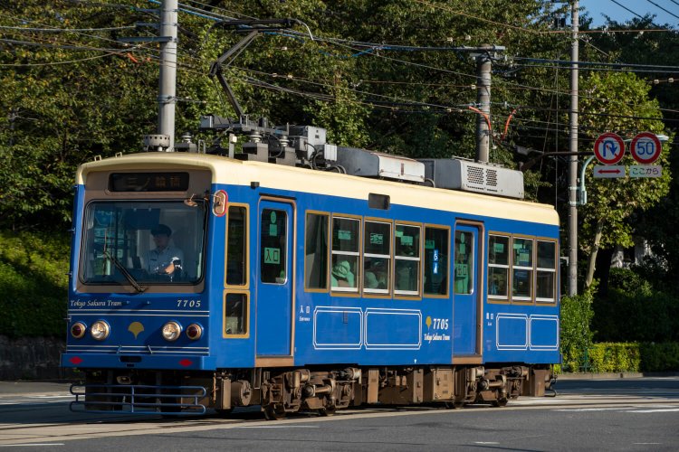 都電荒川線24_7700 青