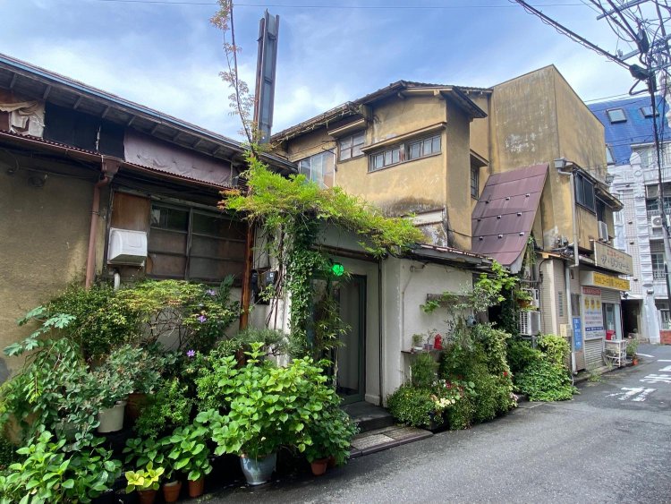 裏側の入り組んだ構造も是非眺めて欲しい。