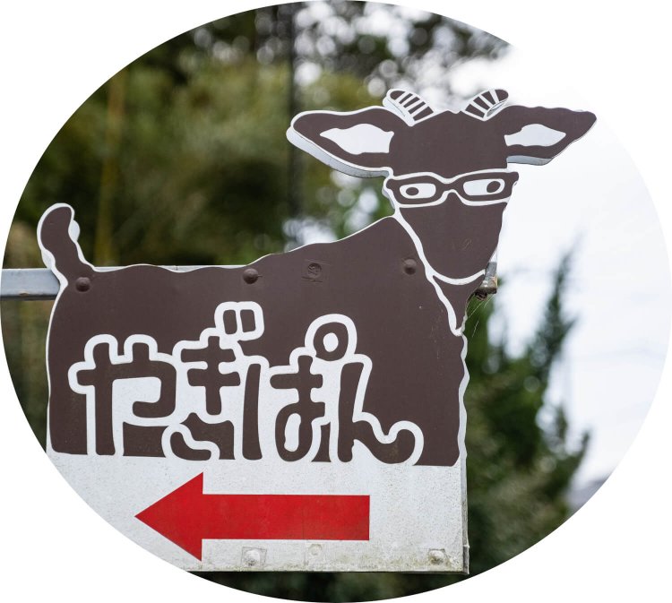 県道沿いのこの看板が目印。