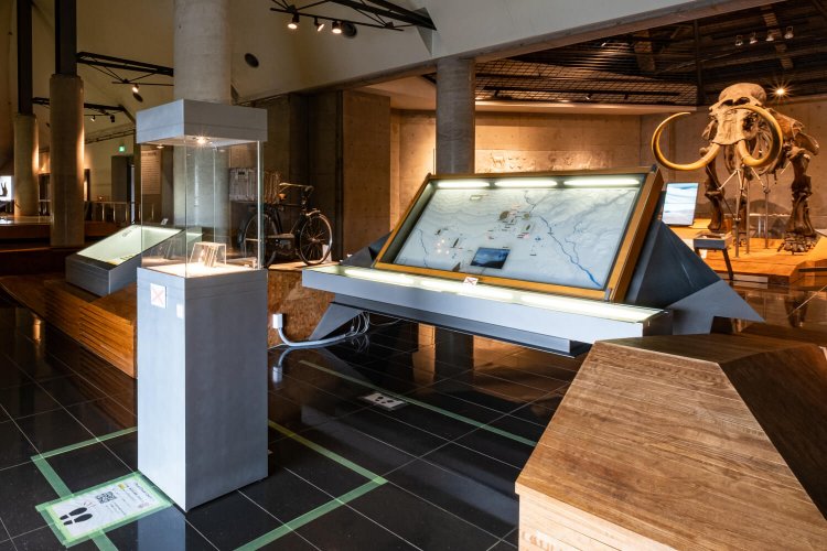 出土品のほか、氷河時代を象徴する大型動物としてマンモスの全身骨格標本も置かれた常設展示室。