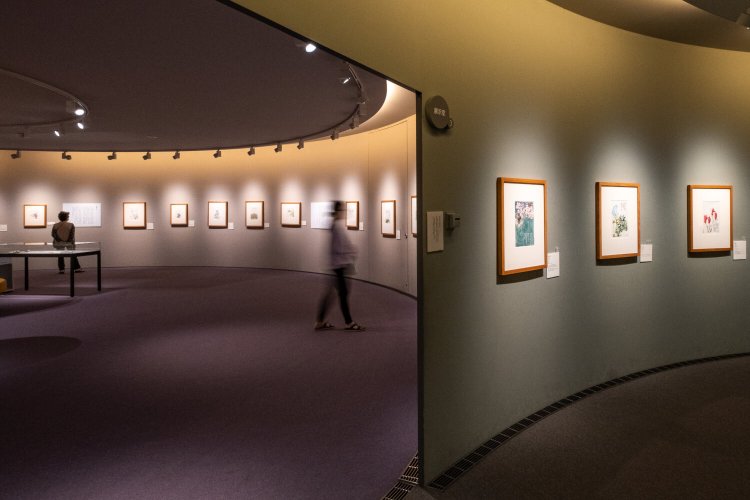 館内は複数の円形展示室が並び、落ち着いた環境で作品を鑑賞できる。