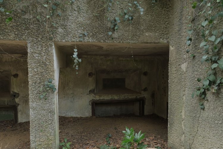 内部は半分埋められていた。奥の大きな穴は換気口かと思われる。その下は出入り口であったのだろう。