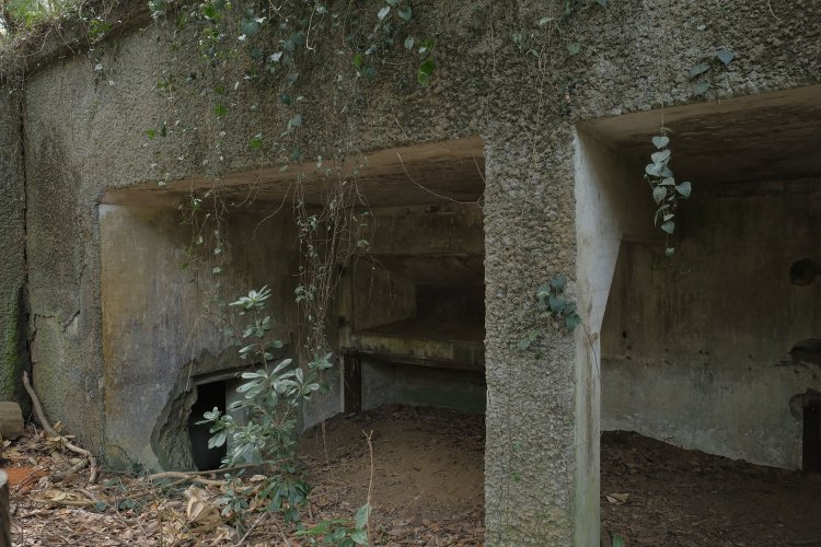 左側を覗き込む。崩れかけたところをよく見ると奥に部屋がありそうだ。