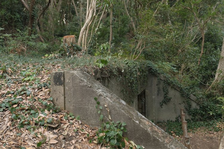発電所跡の横にはキャンプ場へ向かう階段がある。その脇からも外観を観察できる。