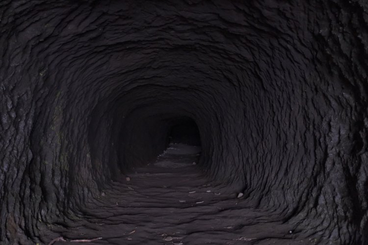 内部は行き止まりのようだ。大人は少し屈まないと入れない。奥まで入る勇気はなかった。