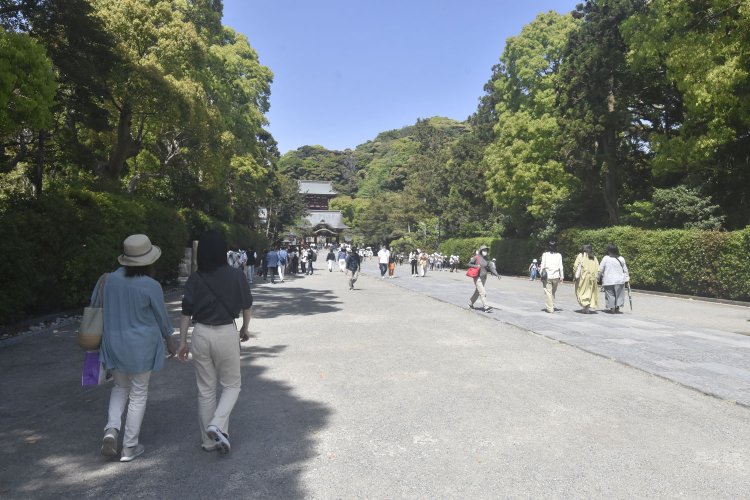 参拝客でにぎわう鶴岡八幡宮。